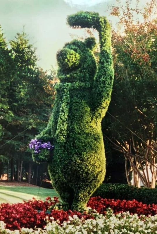 Yogi Bear Topiary